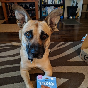 Fundraising Page: Melissa Jones